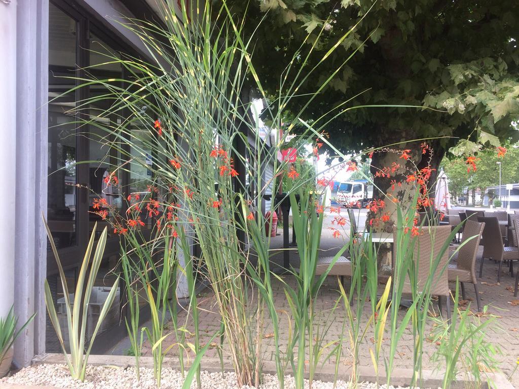 La Hourquie Cafe Hotel Morlaas Ngoại thất bức ảnh